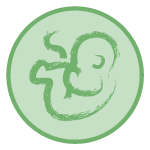 Fetus_4.png