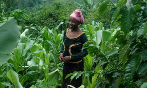 International Coffee Day: celebrating Ethiopia’s coffee heritage and its growers
