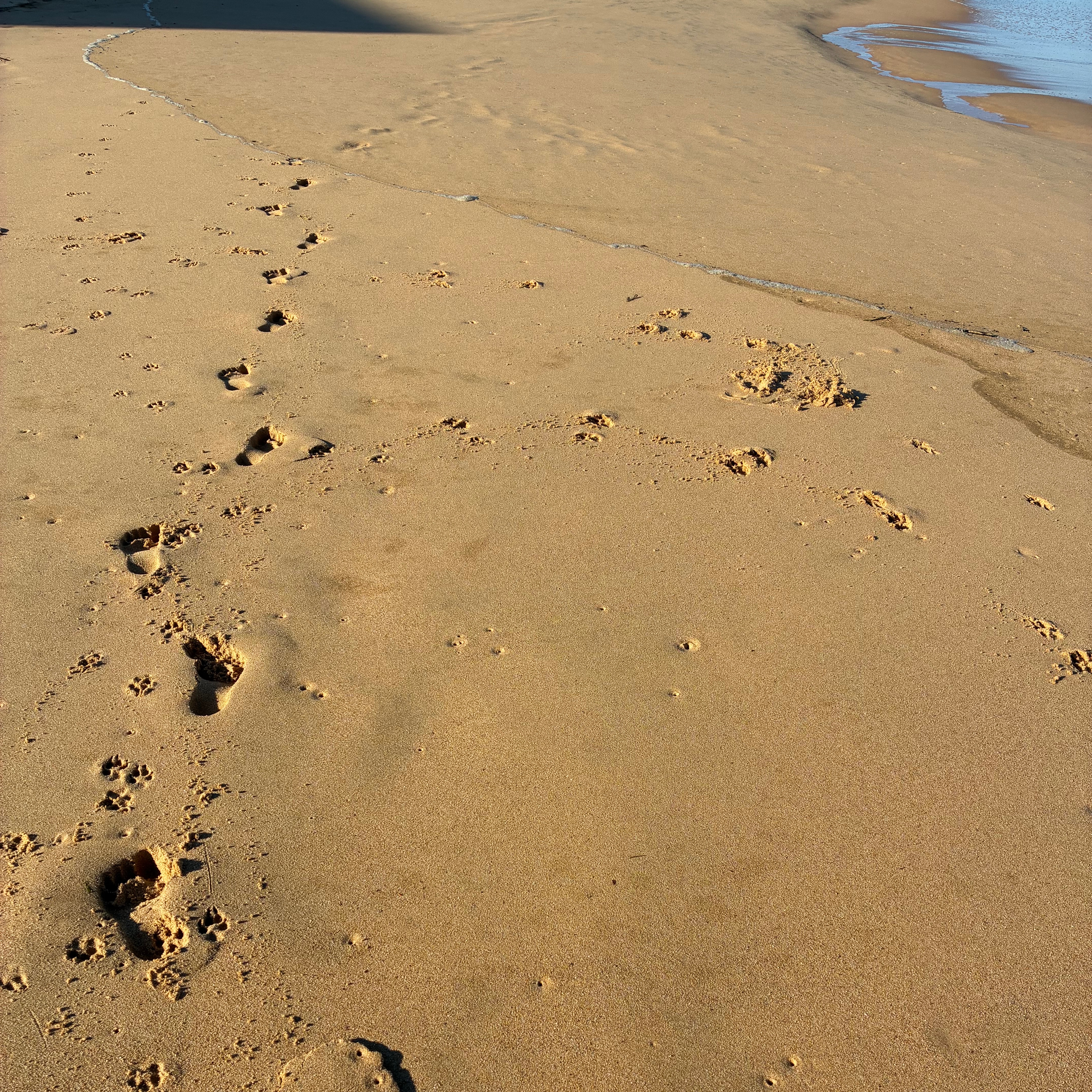 Nicola’s Barefoot Walk