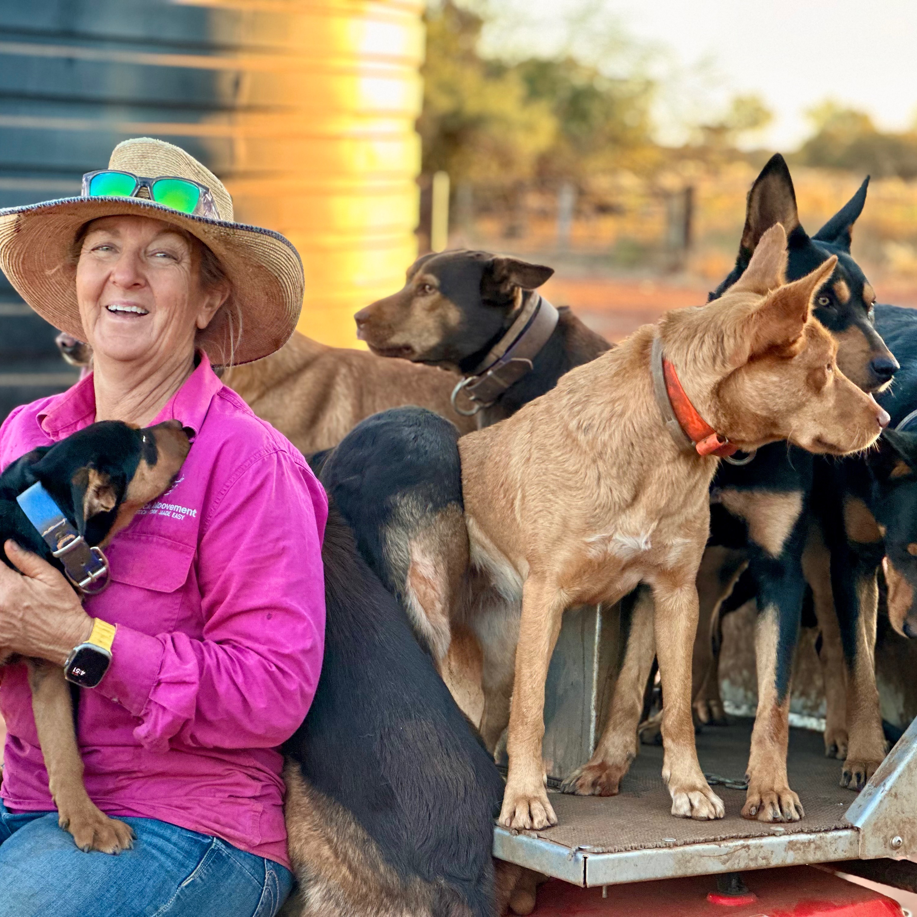 Tania and dogs walk 25 km